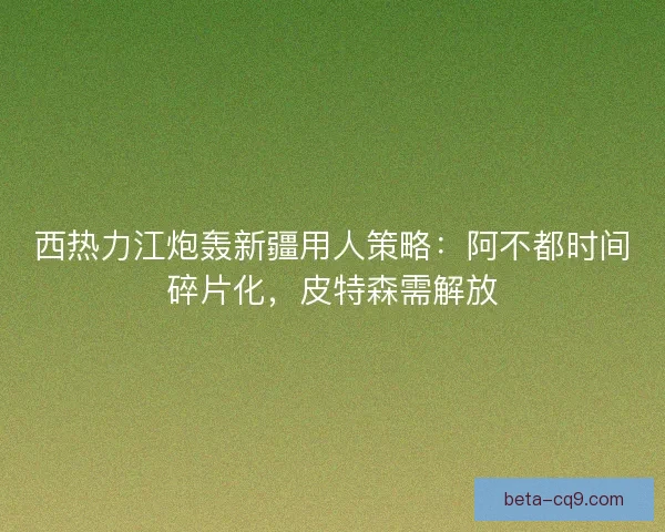 西热力江炮轰新疆用人策略：阿不都时间碎片化，皮特森需解放