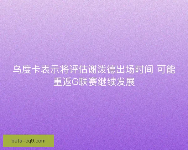乌度卡表示将评估谢泼德出场时间 可能重返G联赛继续发展